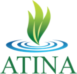 ATINA Systems Value Engineering